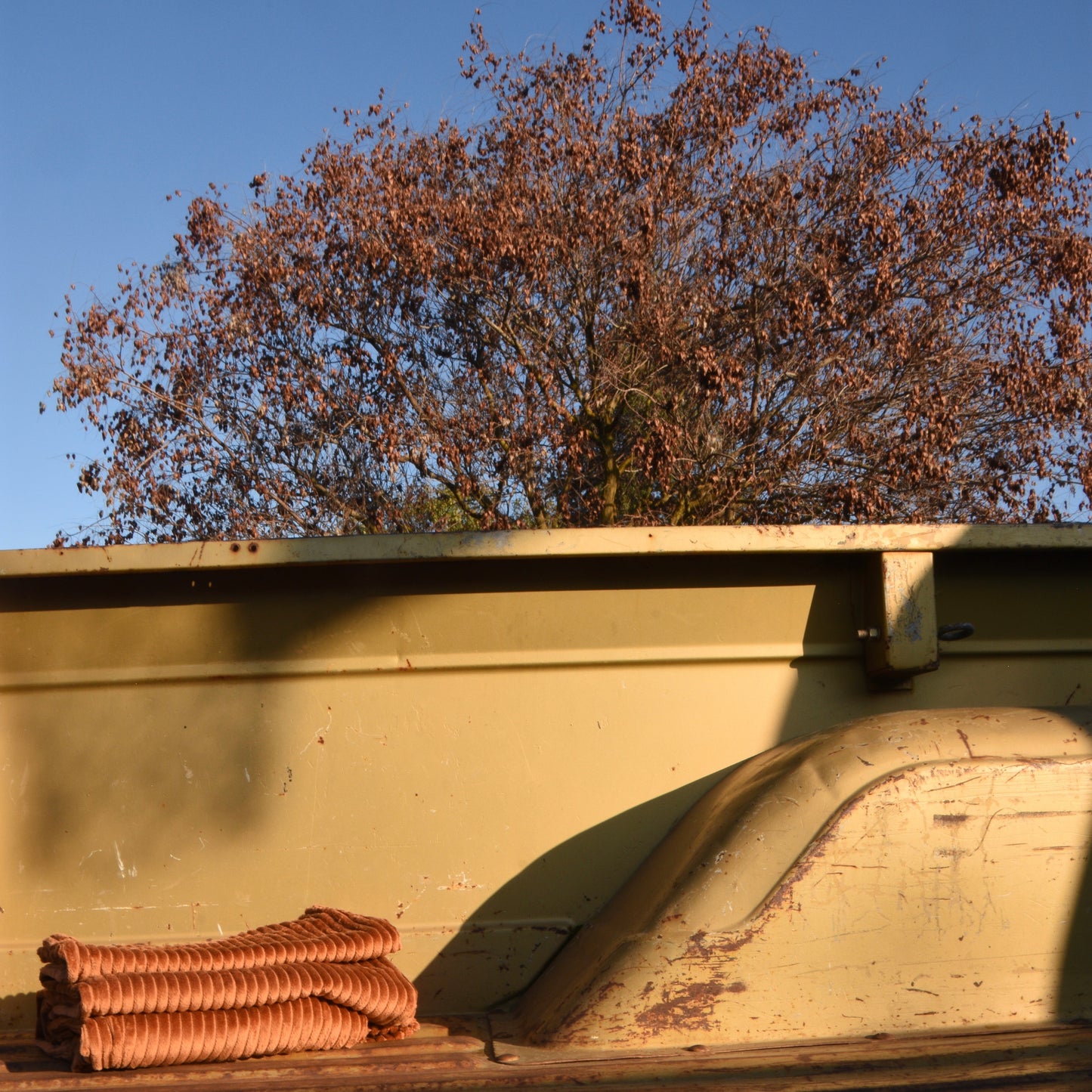 King Corduroys- Sequoia